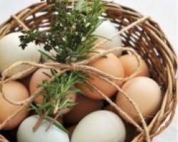 Приснились яйца — трактовка сновидения по различным сонникам